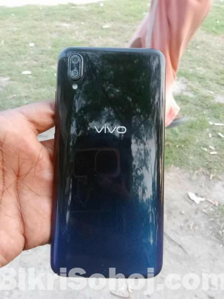 Vivo